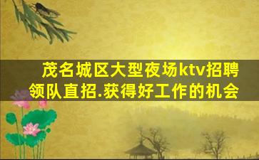 茂名城区大型夜场ktv招聘领队直招.获得好工作的机会